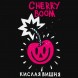 Табак Хулиган Hard - Cherry Boom (Кислая Вишня, 25 грамм) купить в Владивостоке