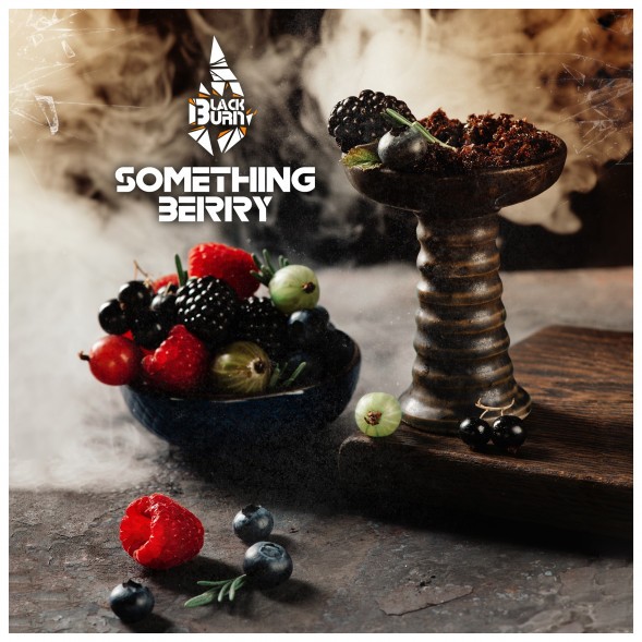 Табак BlackBurn - Something Berry (Что-то Ягодное, 100 грамм) купить в Владивостоке