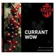 Табак Jent - Currant WOW (Кислая Смородина, 100 грамм) купить в Владивостоке