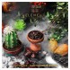 Табак Element Вода - Cactus Fig (Кактусовый финик, 100 грамм) купить в Владивостоке