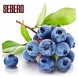 Табак Sebero - Blueberry (Голубика, 25 грамм) купить в Владивостоке
