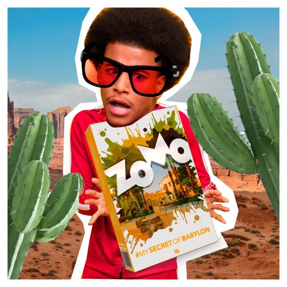 Табак Zomo - Secret Babylon (Сикрет Бабилон, 50 грамм) купить в Владивостоке