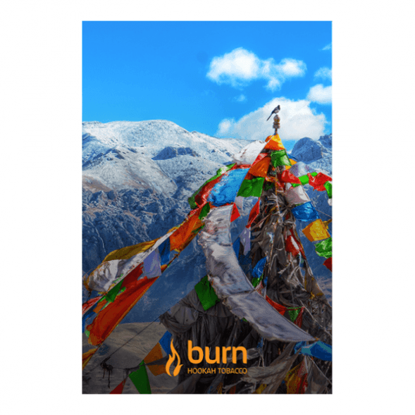 Табак Burn - Tibet (Индийские Специи, 100 грамм) купить в Владивостоке