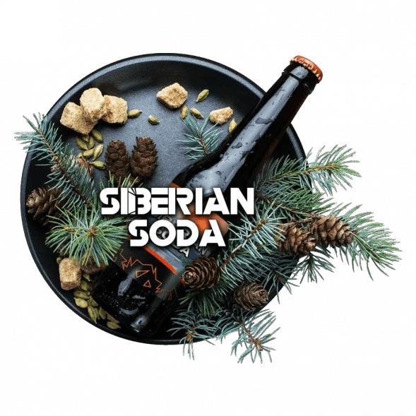Табак BlackBurn - Siberian Soda (Лимонад Байкал, 100 грамм) купить в Владивостоке
