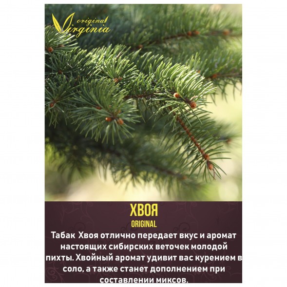Табак Original Virginia ORIGINAL - Хвоя (50 грамм) купить в Владивостоке