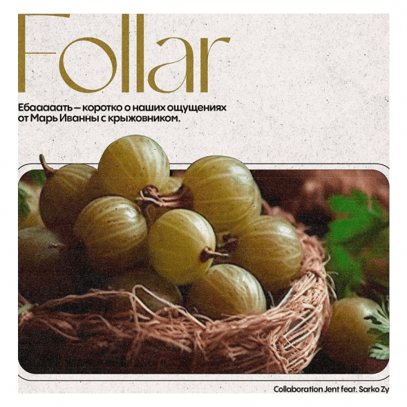 Табак Jent - Follar (Марь Иванна с Крыжовником, 200 грамм) купить в Владивостоке