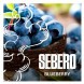 Табак Sebero - Blueberry (Голубика, 200 грамм) купить в Владивостоке