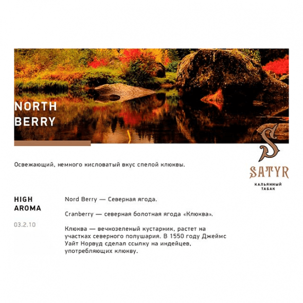 Табак Satyr - North Berry (Северная Ягода, 200 грамм) купить в Владивостоке