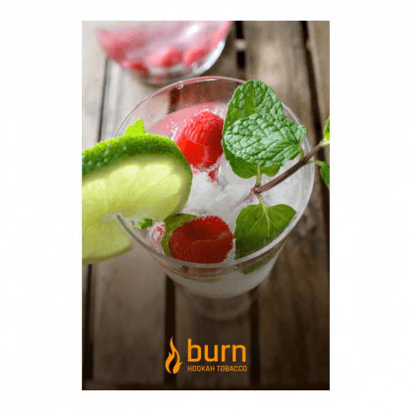 Табак Burn - Kamikaze (Лайм Малина Лед, 25 грамм) купить в Владивостоке