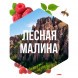Табак Сарма - Лесная Малина (100 грамм) купить в Владивостоке
