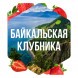Табак Сарма - Байкальская Клубника (25 грамм) купить в Владивостоке