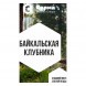 Табак Сарма - Байкальская Клубника (25 грамм) купить в Владивостоке