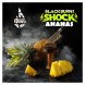 Табак BlackBurn - Ananas Shock (Кислый Ананас, 25 грамм) купить в Владивостоке