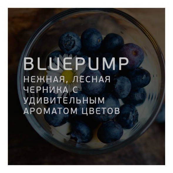 Табак Twelve - Blue Pump (Черника, 100 грамм, Акциз) купить в Владивостоке