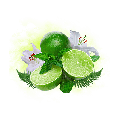 Табак Krass Black - Memorial Lime (Запоминающийся Лайм, 100 грамм) купить в Владивостоке