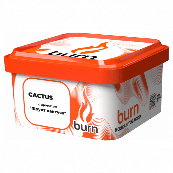 Табак Burn - Cactus (Кактус, 200 грамм) купить в Владивостоке